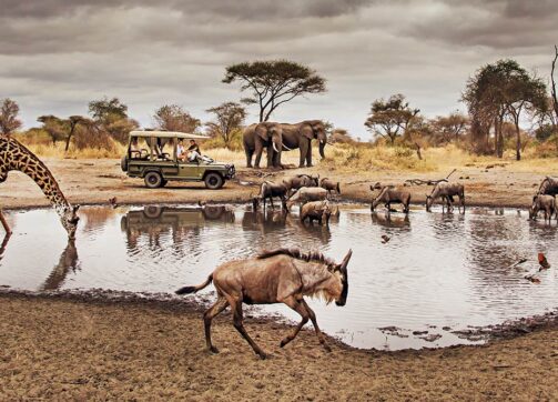 10 Days (Ndutu Migration) – Lake Manyara, Ndutu, Serengeti, Ngorongoro Crater and Tarangire
